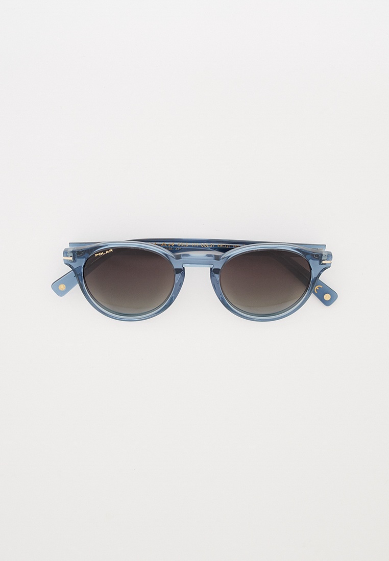 Мужские солнцезащитные очки Polar PGOLD11121