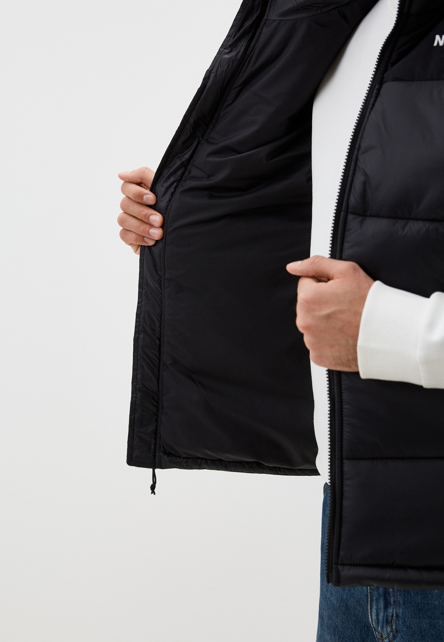 Мужская верхняя одежда The North Face (Норт Фейс) NF0A4QZ4 купить за ...