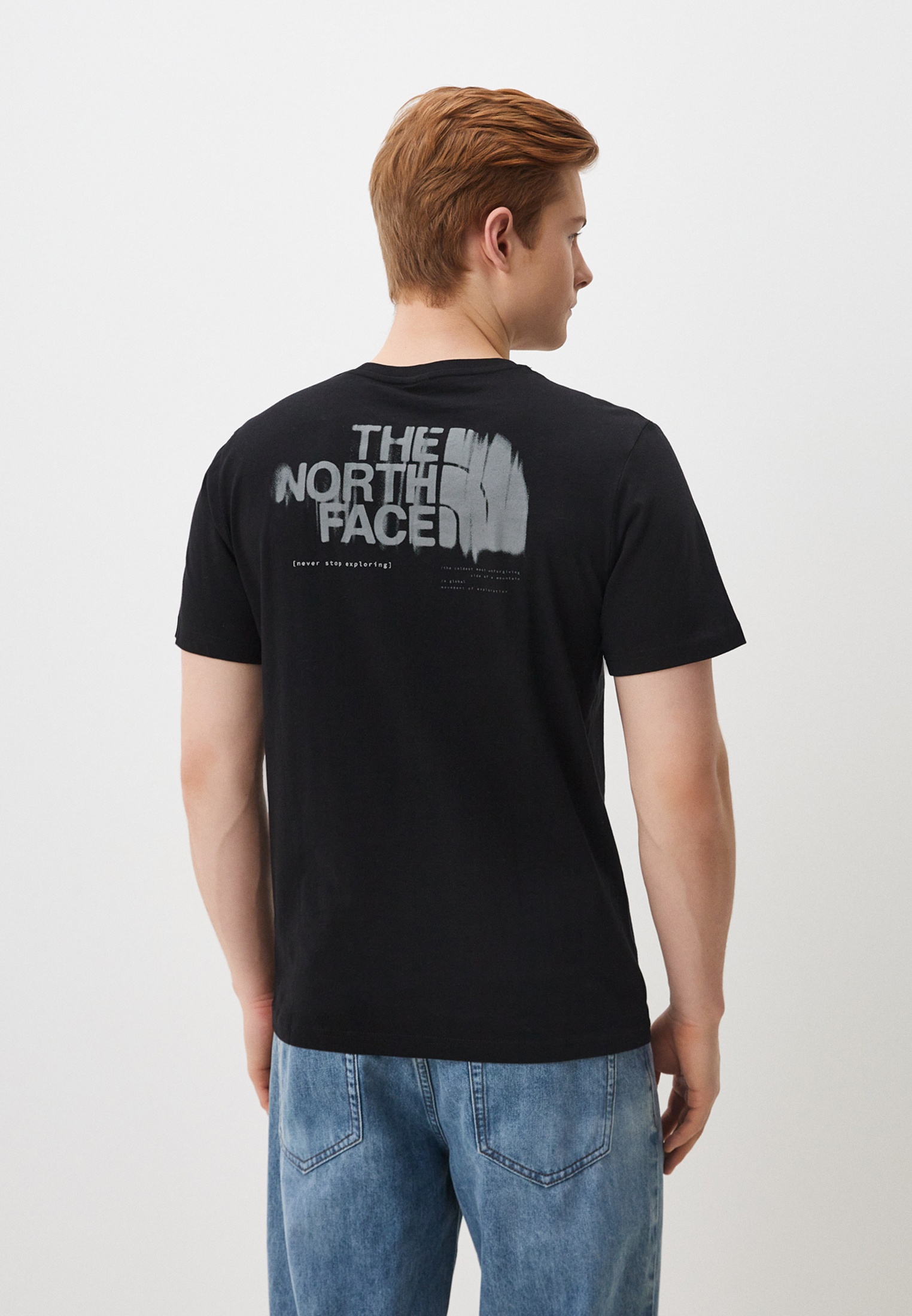 Футболка мужская The North Face (Норт Фейс) NF0A87EW купить за 3499 руб.