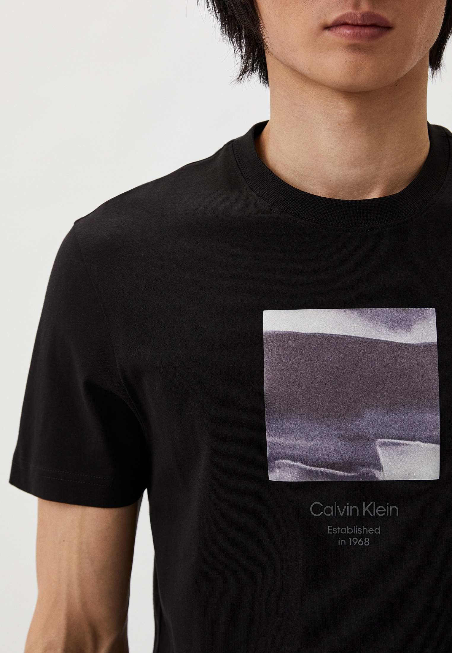 Мужская футболка Calvin Klein (Кельвин Кляйн) K10K112488: изображение 4