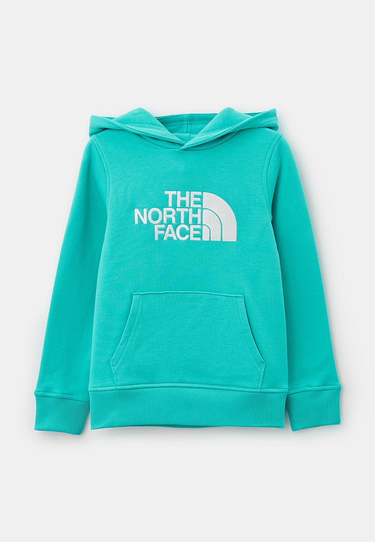 Толстовка The North Face (Зе Норт Фейс) NF0A89PS