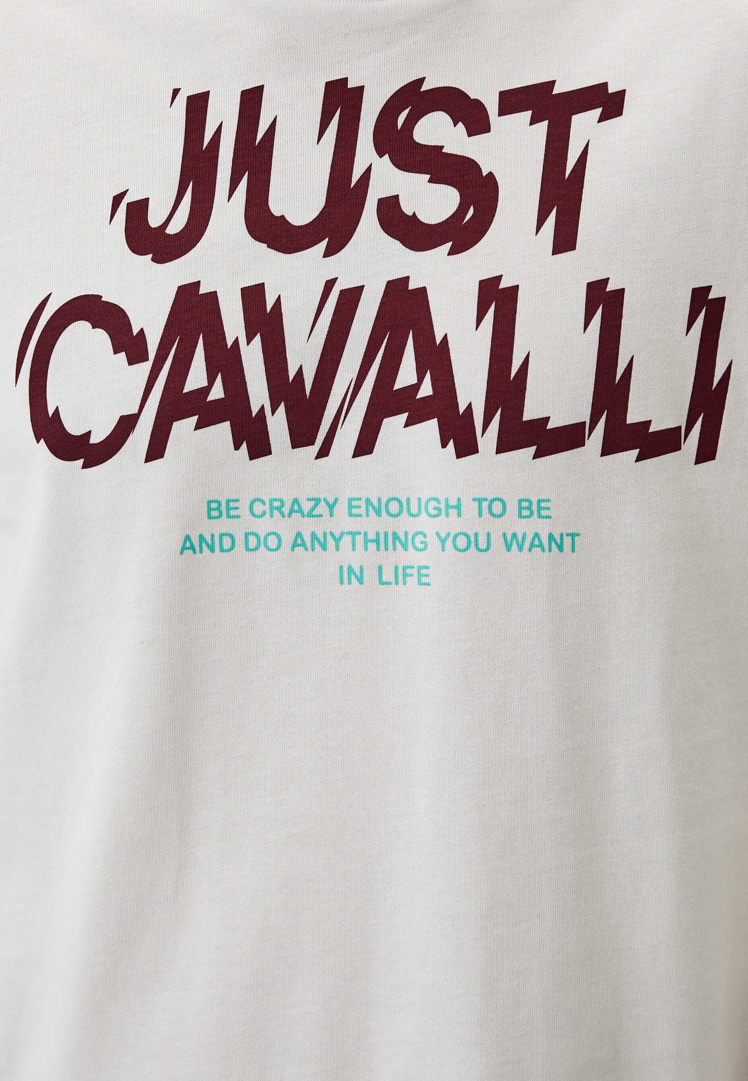 Мужская футболка Just Cavalli (Джаст Кавалли) 76OAHG07CJ318003: изображение 4