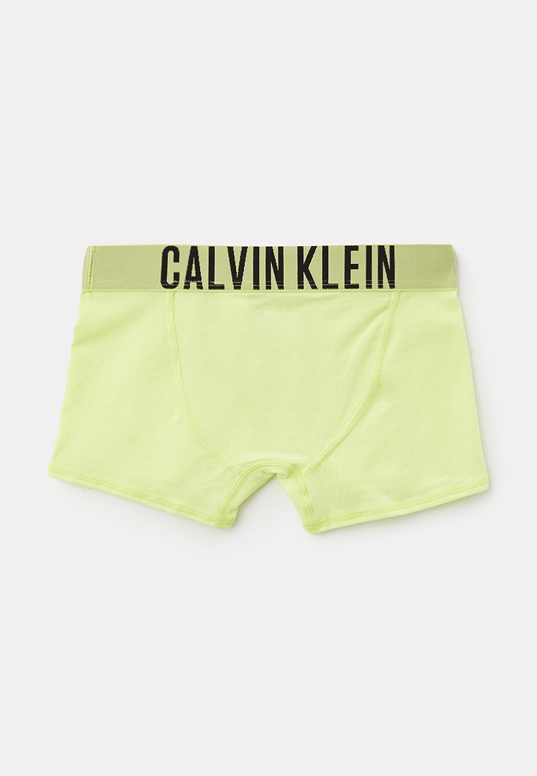 Трусы для мальчиков Calvin Klein (Кельвин Кляйн) B70B700461: изображение 2