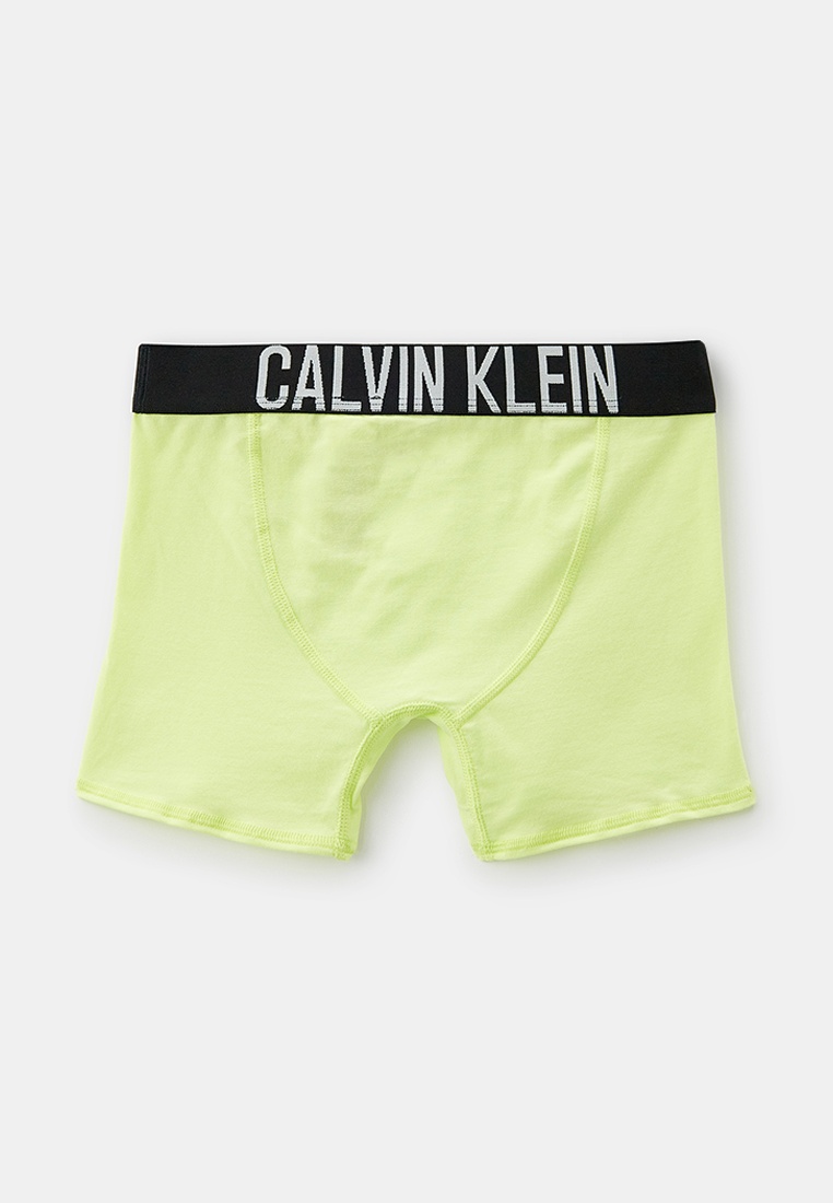 Трусы для мальчиков Calvin Klein (Кельвин Кляйн) B70B700463: изображение 2