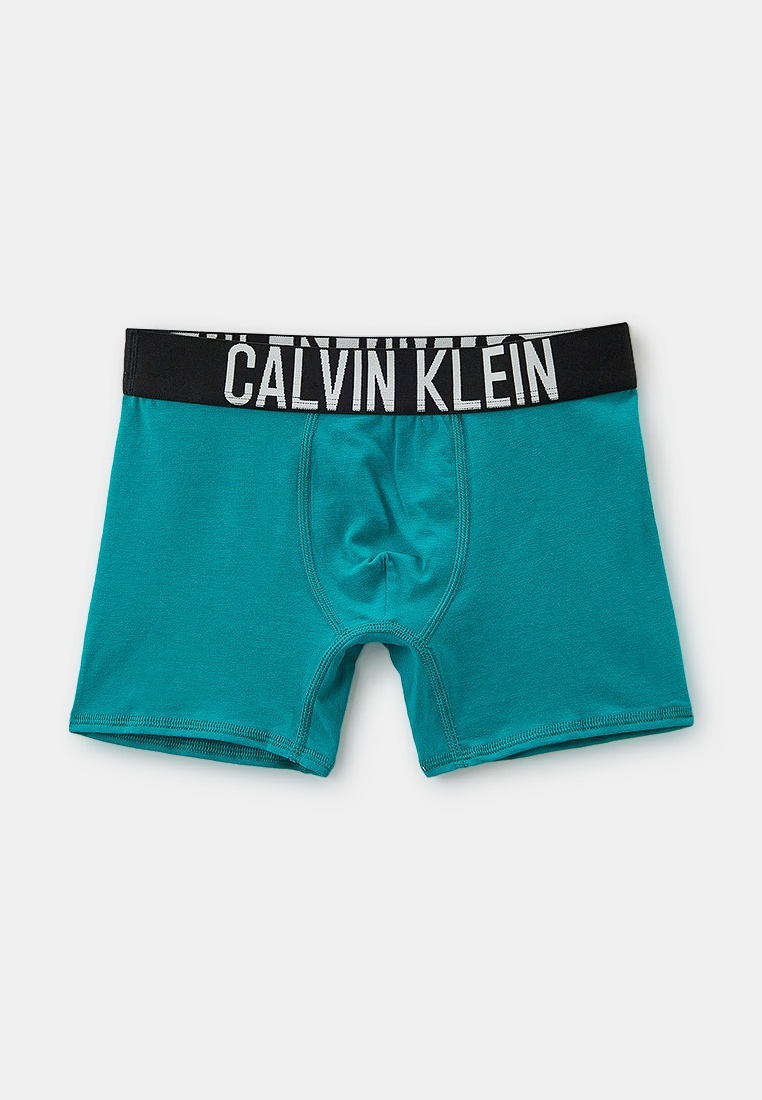 Трусы для мальчиков Calvin Klein (Кельвин Кляйн) B70B700463: изображение 4