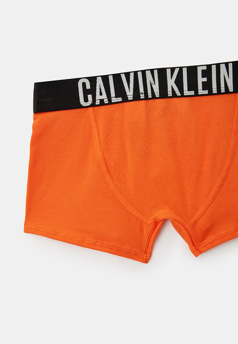 Трусы для мальчиков Calvin Klein (Кельвин Кляйн) B70B700461: изображение 3