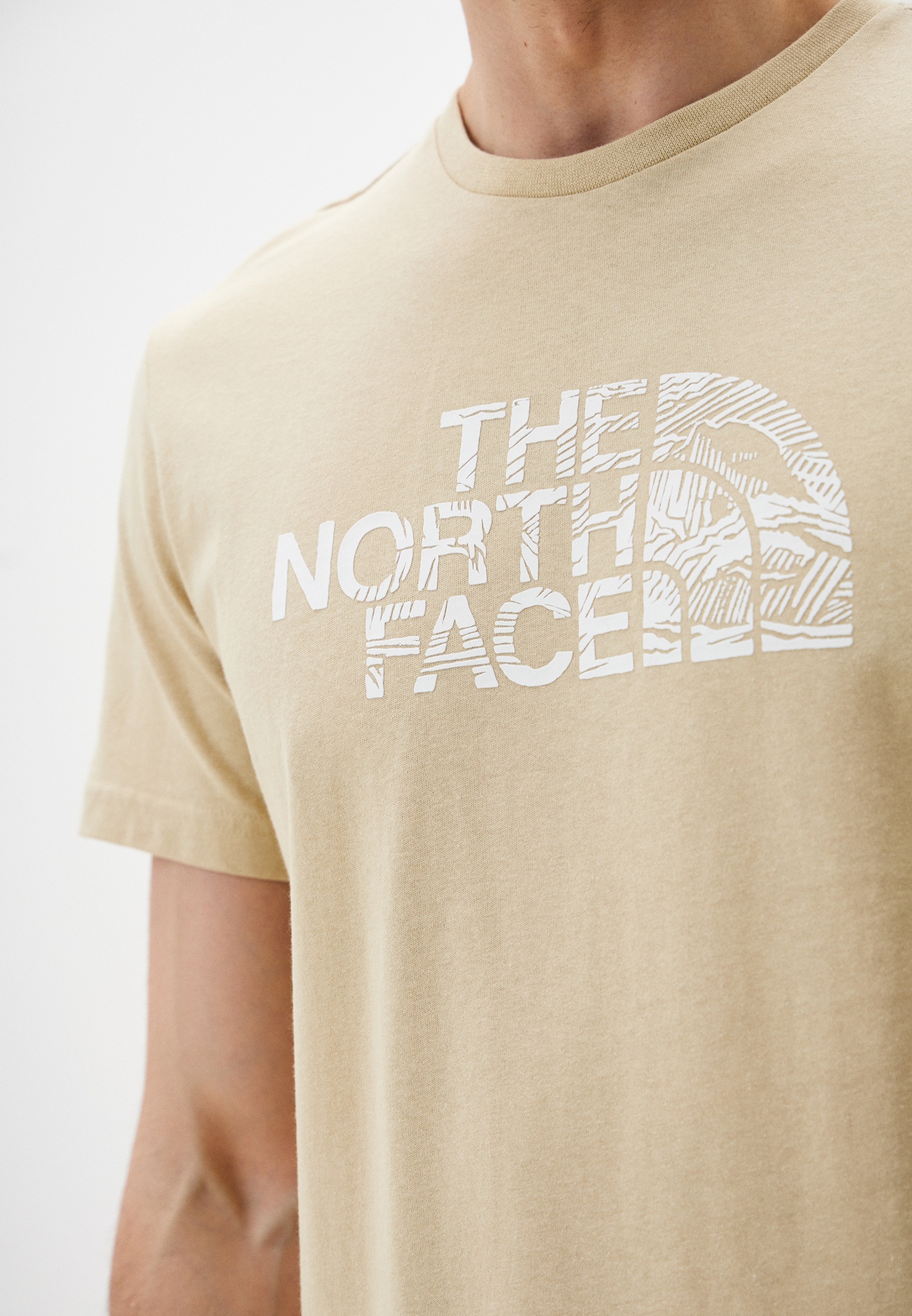 Футболка мужская The North Face (Норт Фейс) NF0A87NX купить за 3699 руб.