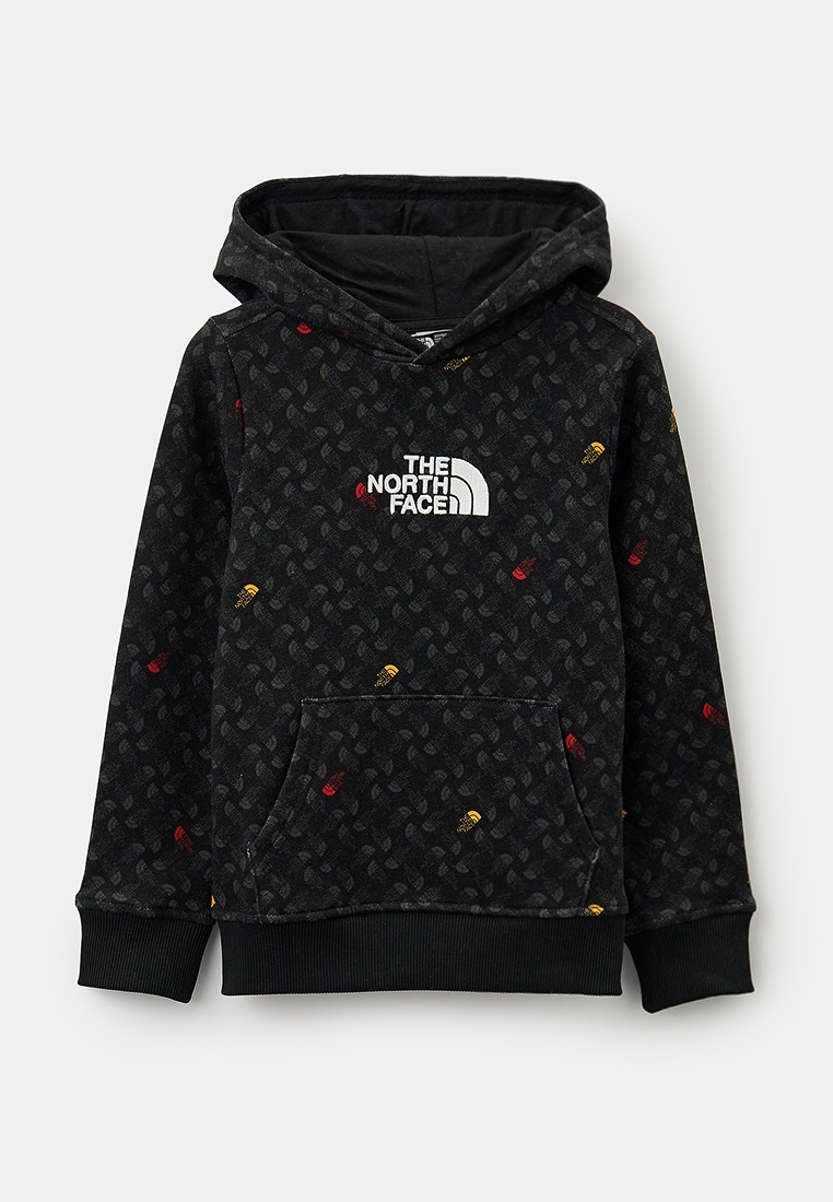 Толстовка The North Face (Зе Норт Фейс) NF0A886Z