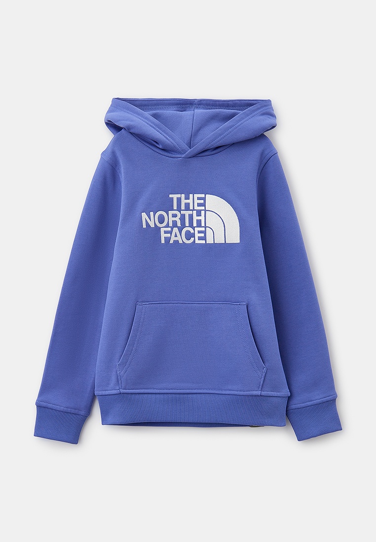 Толстовка The North Face (Зе Норт Фейс) NF0A89PS