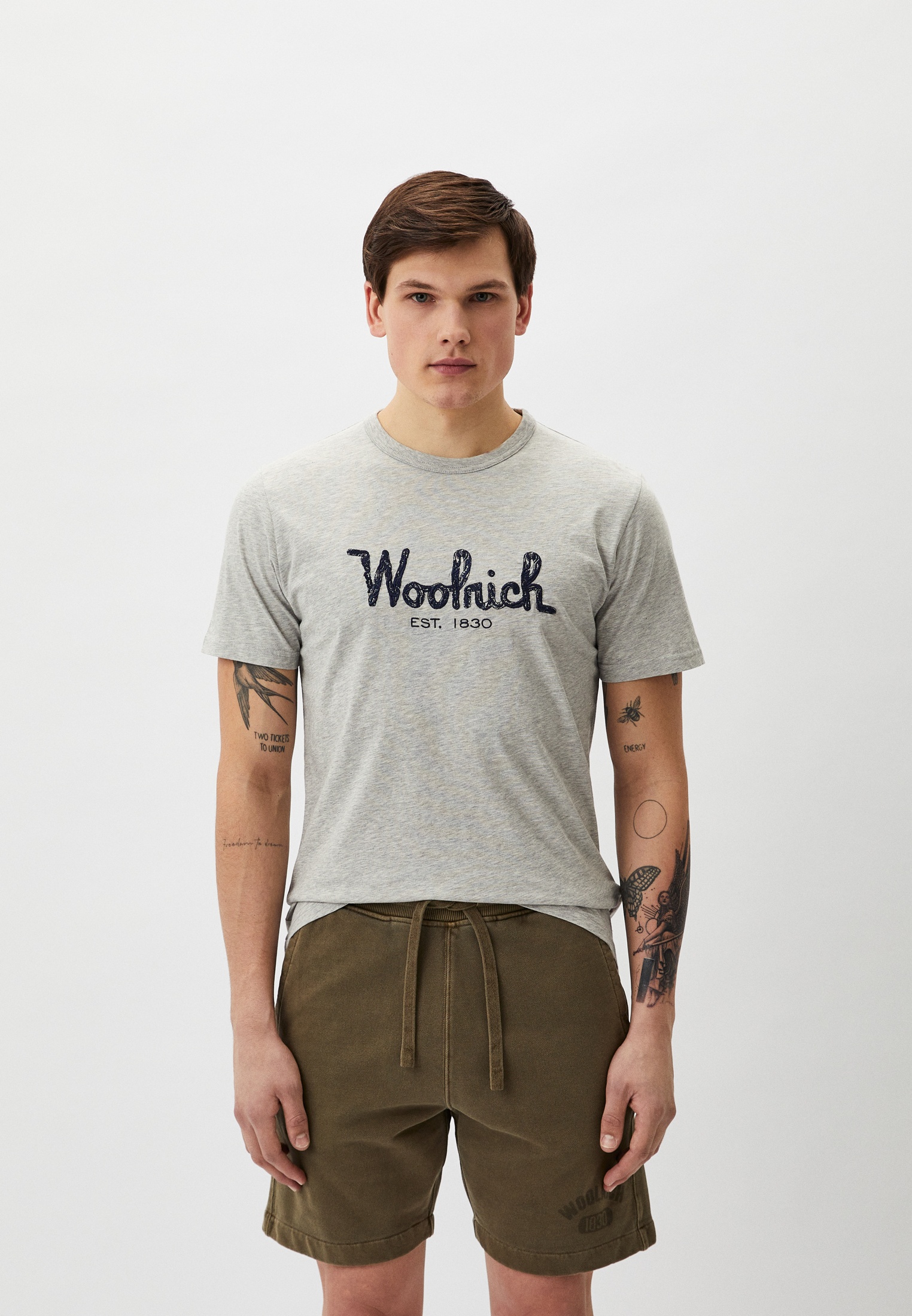 Мужская футболка Woolrich (Вулрич) CFWOTE0125MRUT2926