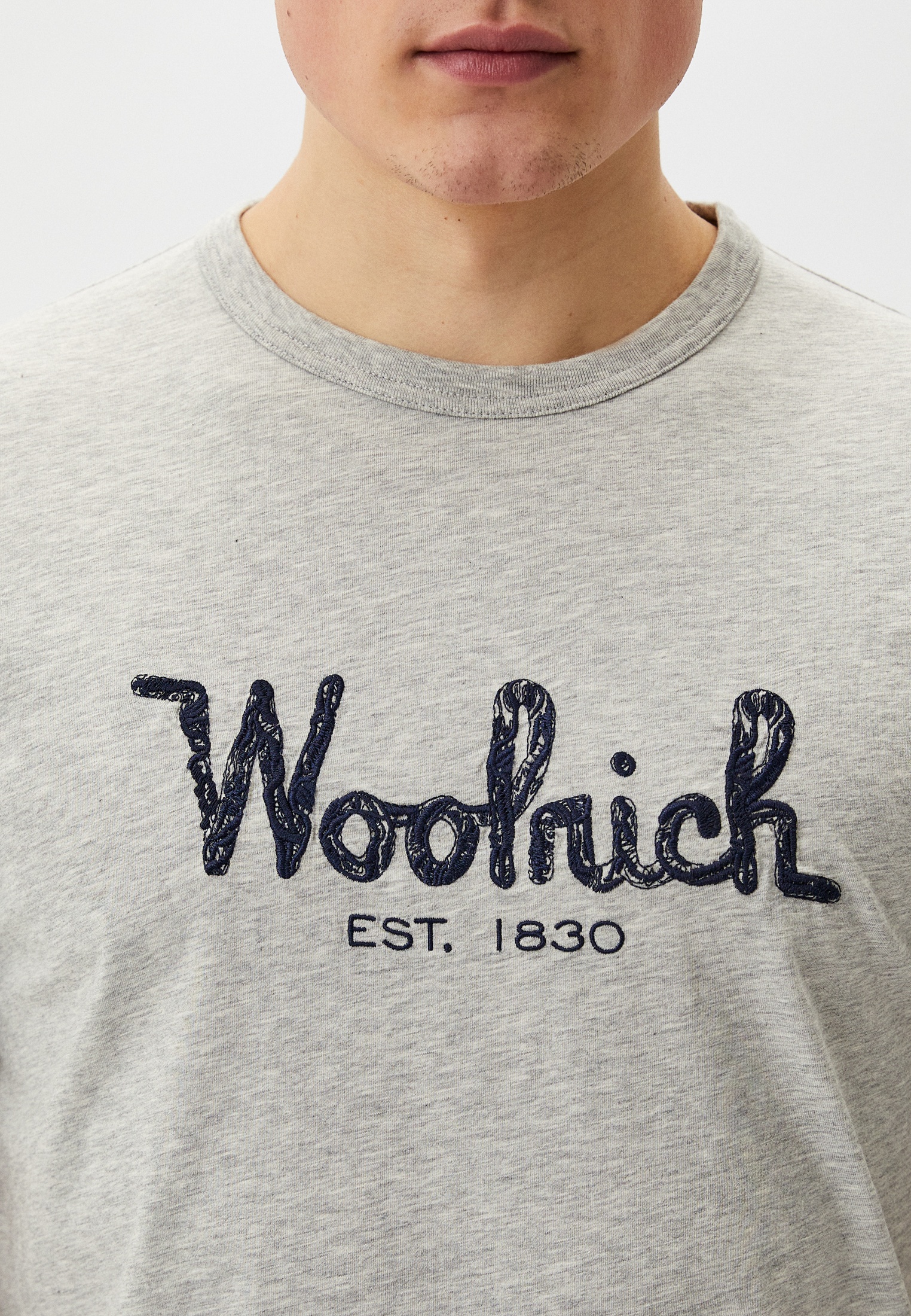 Мужская футболка Woolrich (Вулрич) CFWOTE0125MRUT2926: изображение 4