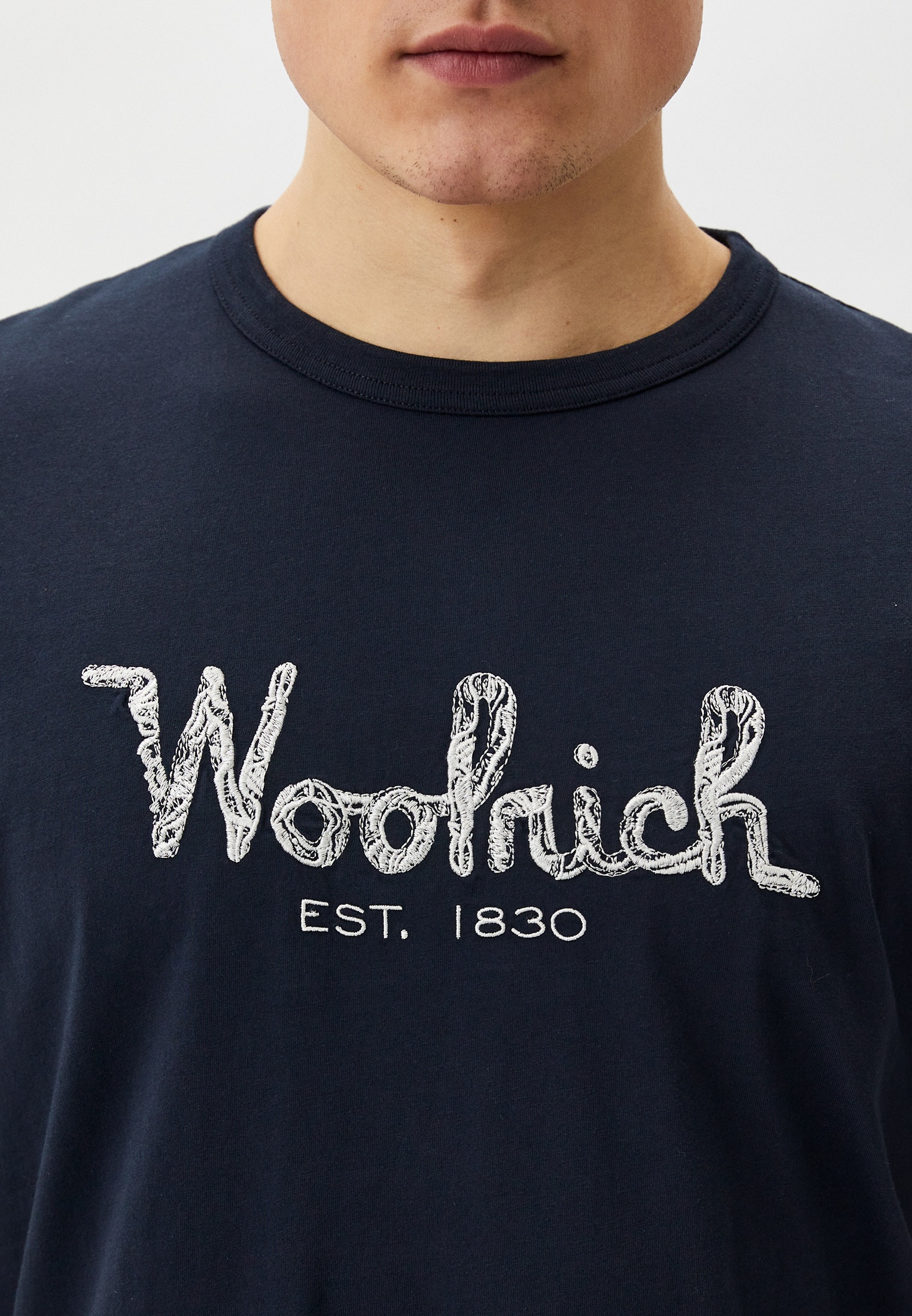 Мужская футболка Woolrich (Вулрич) CFWOTE0125MRUT2926: изображение 4
