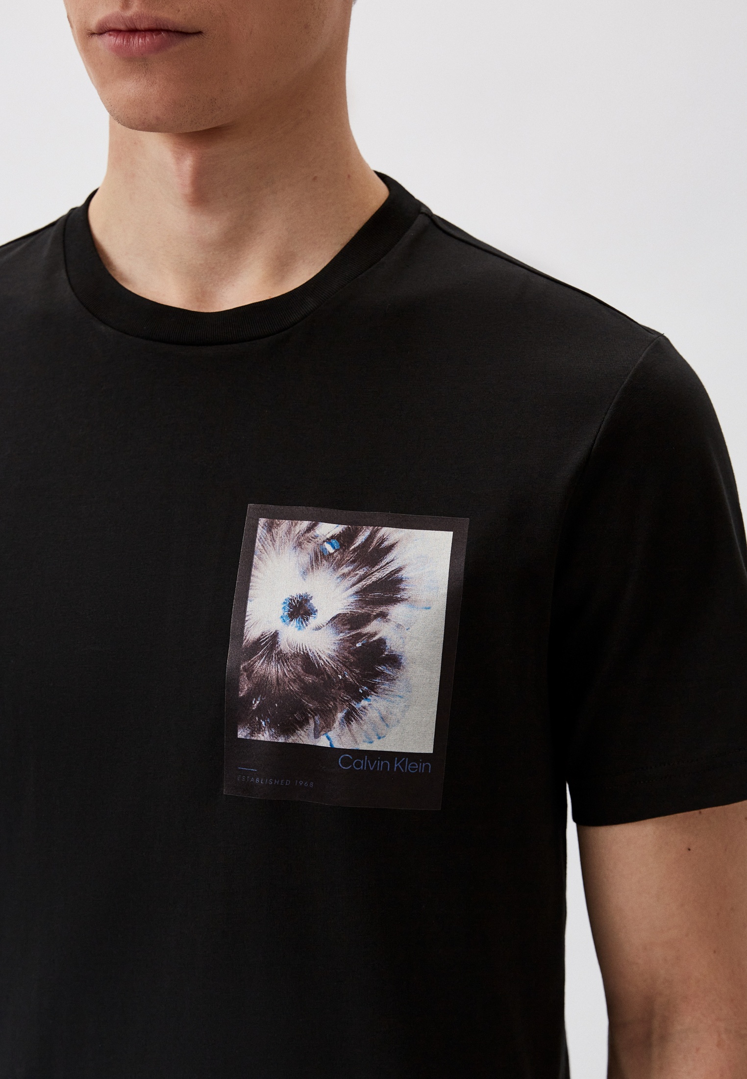 Мужская футболка Calvin Klein (Кельвин Кляйн) K10K112492: изображение 4