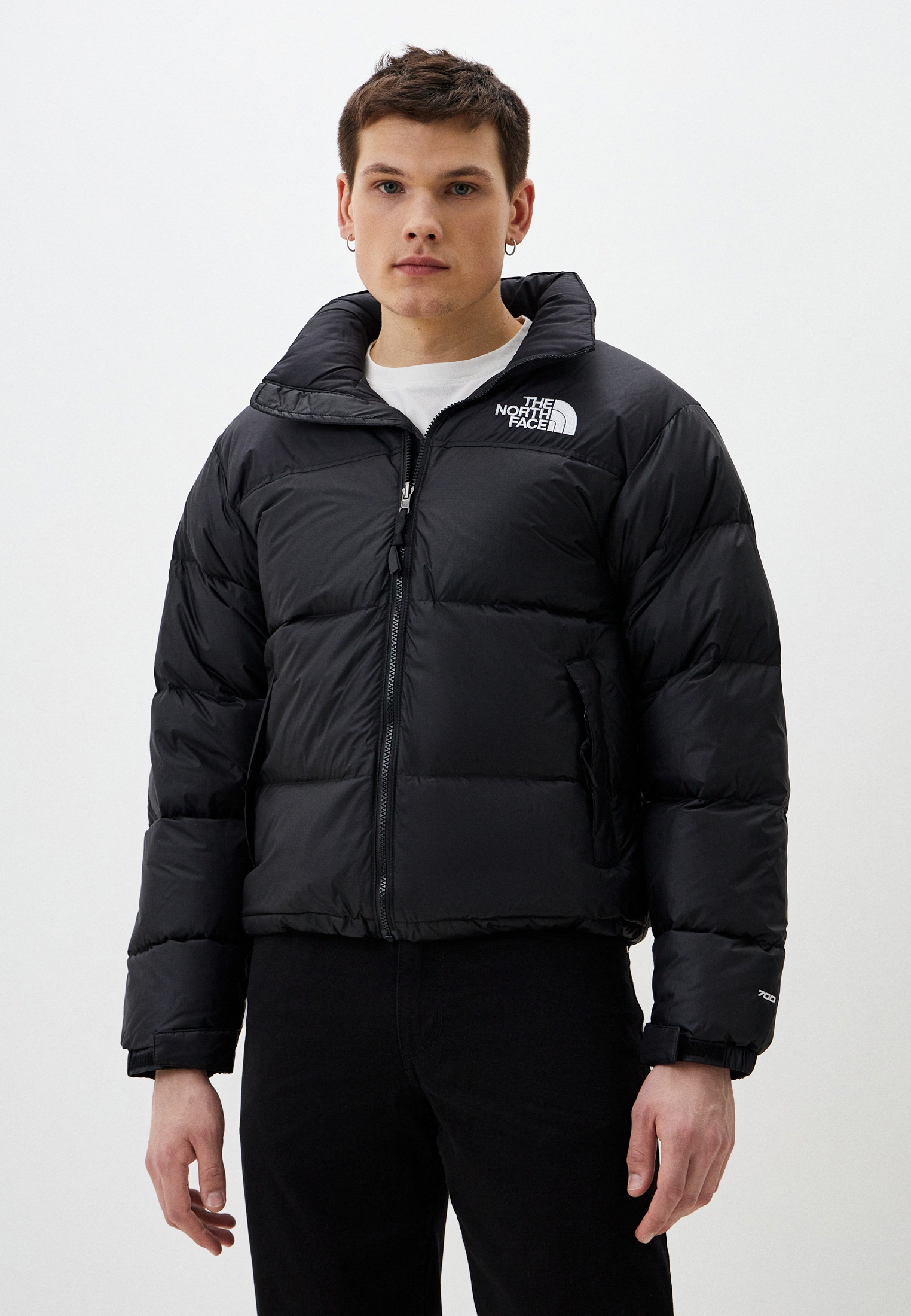 Мужская верхняя одежда The North Face (Зе Норт Фейс) NF0A3C8D