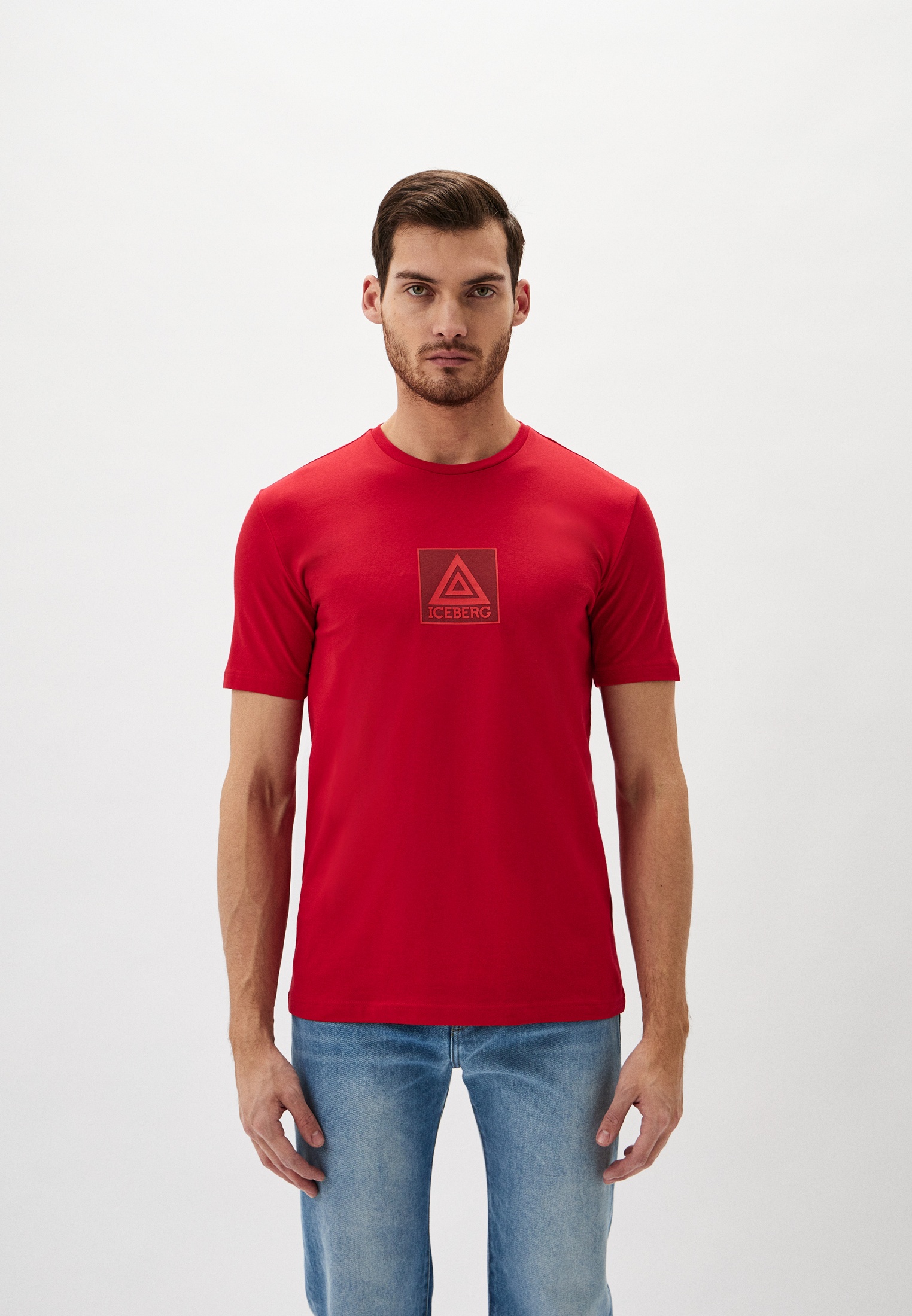 Мужская футболка Iceberg (Айсберг) F020639A: изображение 1