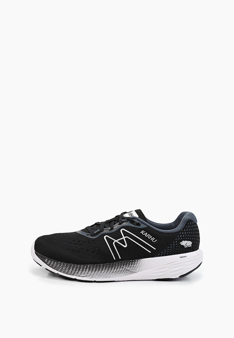 Мужские кроссовки Karhu F100321