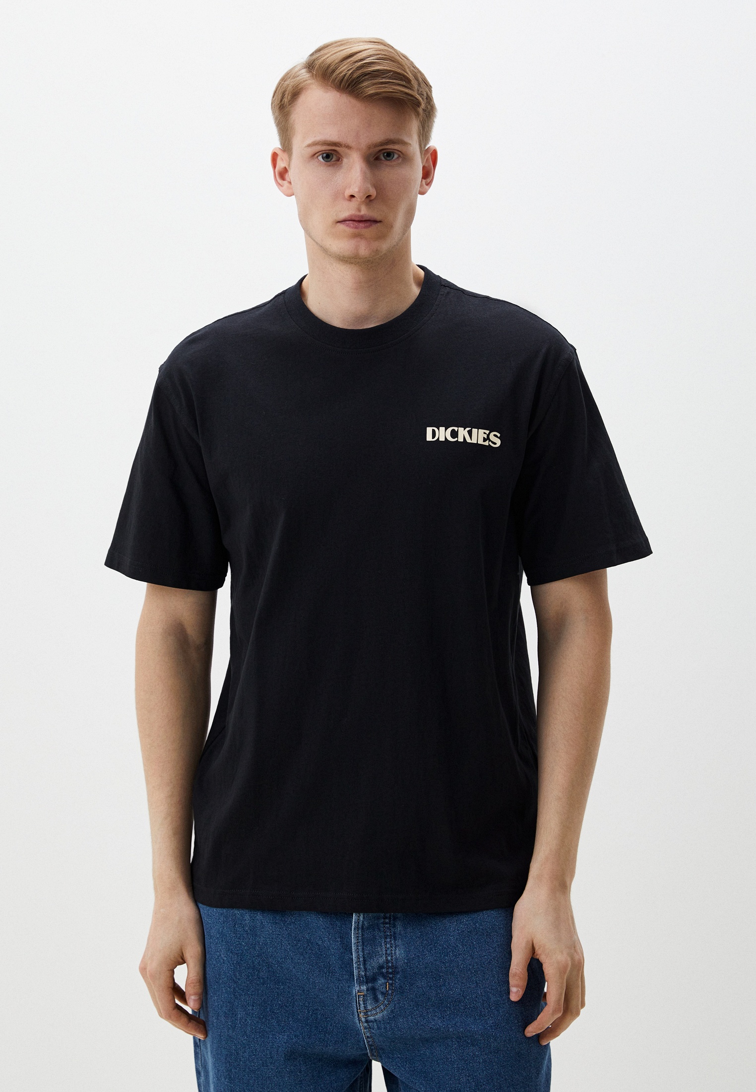 Футболка с коротким рукавом мужской Dickies DK0A4YR5 цвет черный купить ...