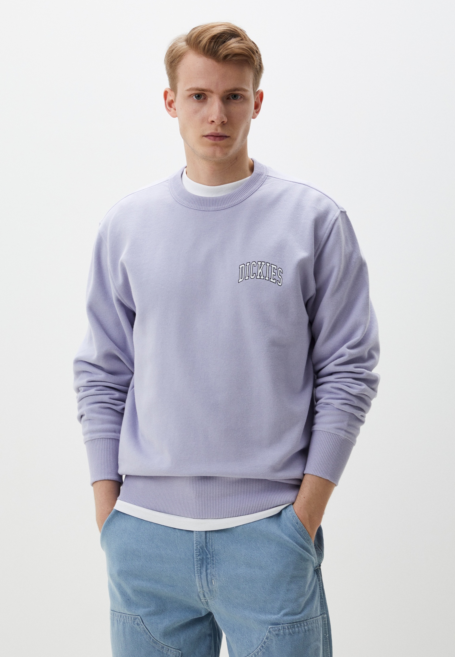 Каталог Dickies - купить Dickies в интернет магазине