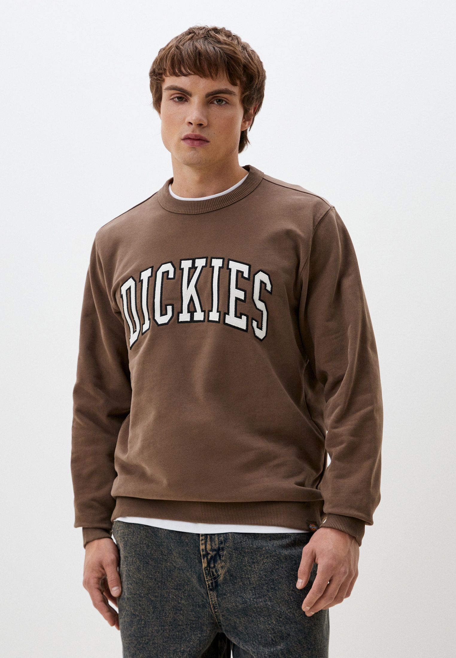 Мужские свитшоты Dickies (Дикис) DK0A4XAB