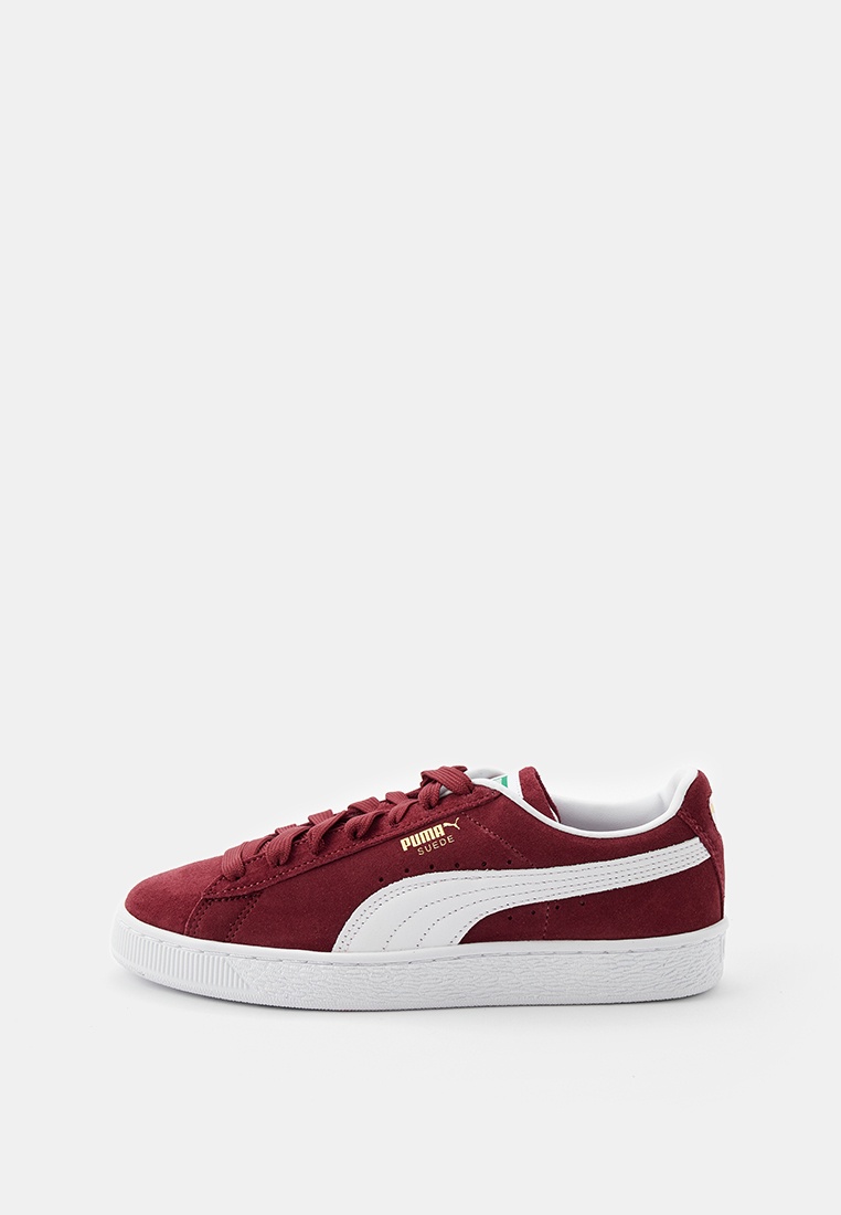 Мужские кеды Puma (Пума) 399781