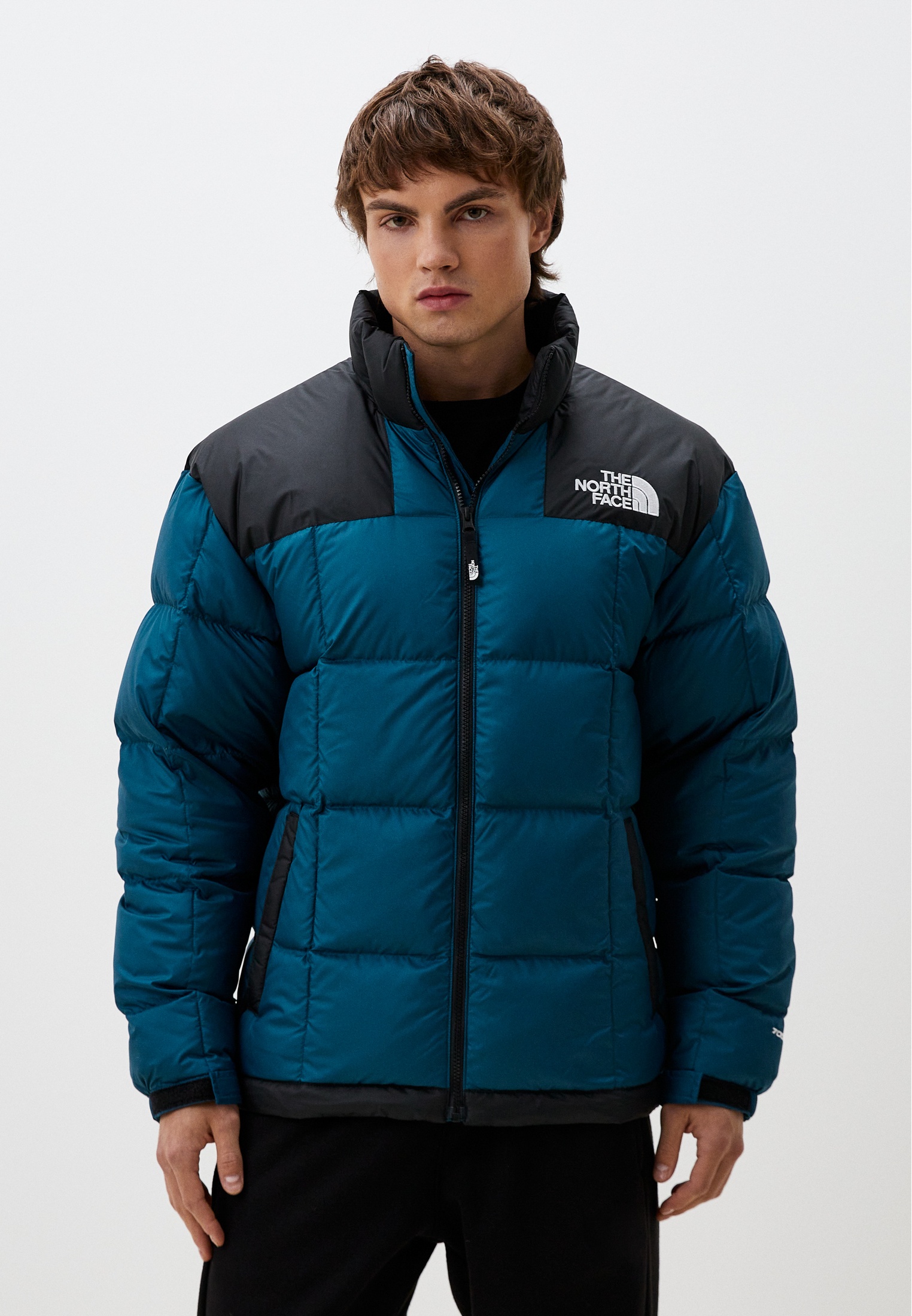 Мужская верхняя одежда The North Face (Зе Норт Фейс) NF0A3Y23