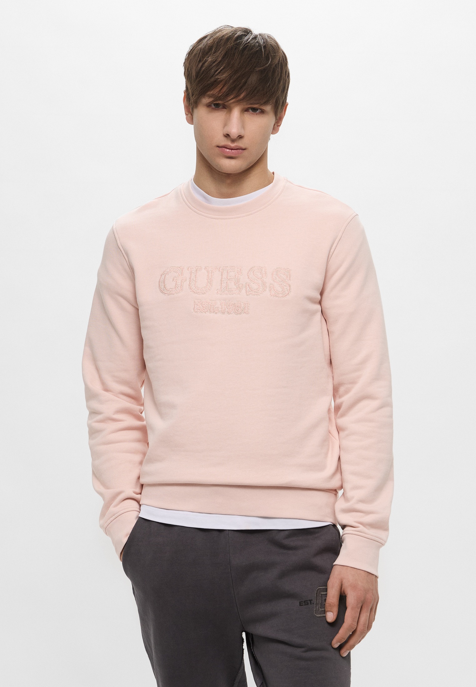 Мужские свитшоты Guess (Гесс) Свитшот Guess