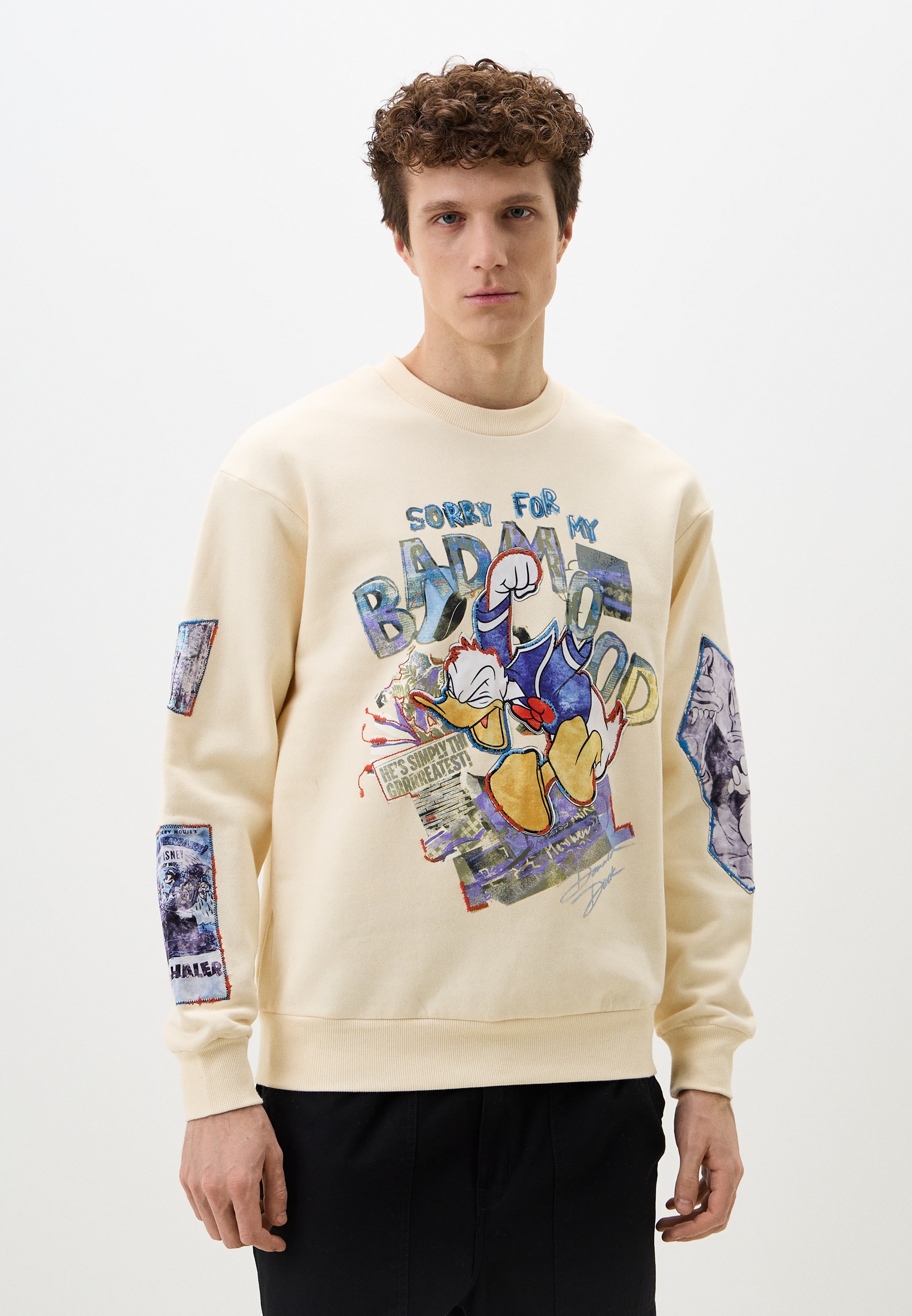Мужские свитшоты Desigual (Дезигуаль) 25SMSK07