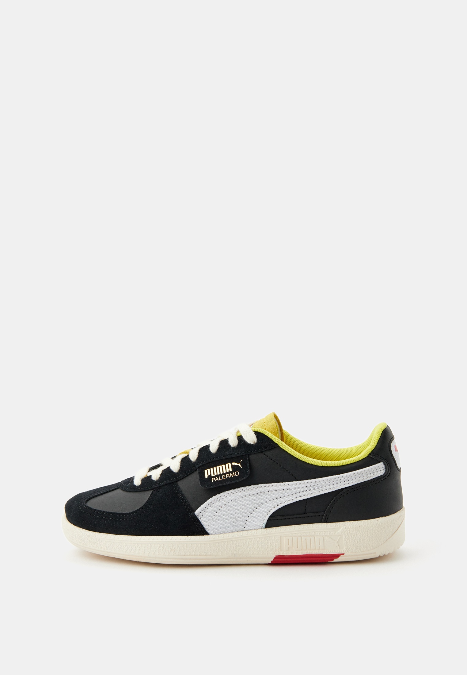 Мужские кеды Puma (Пума) 308717