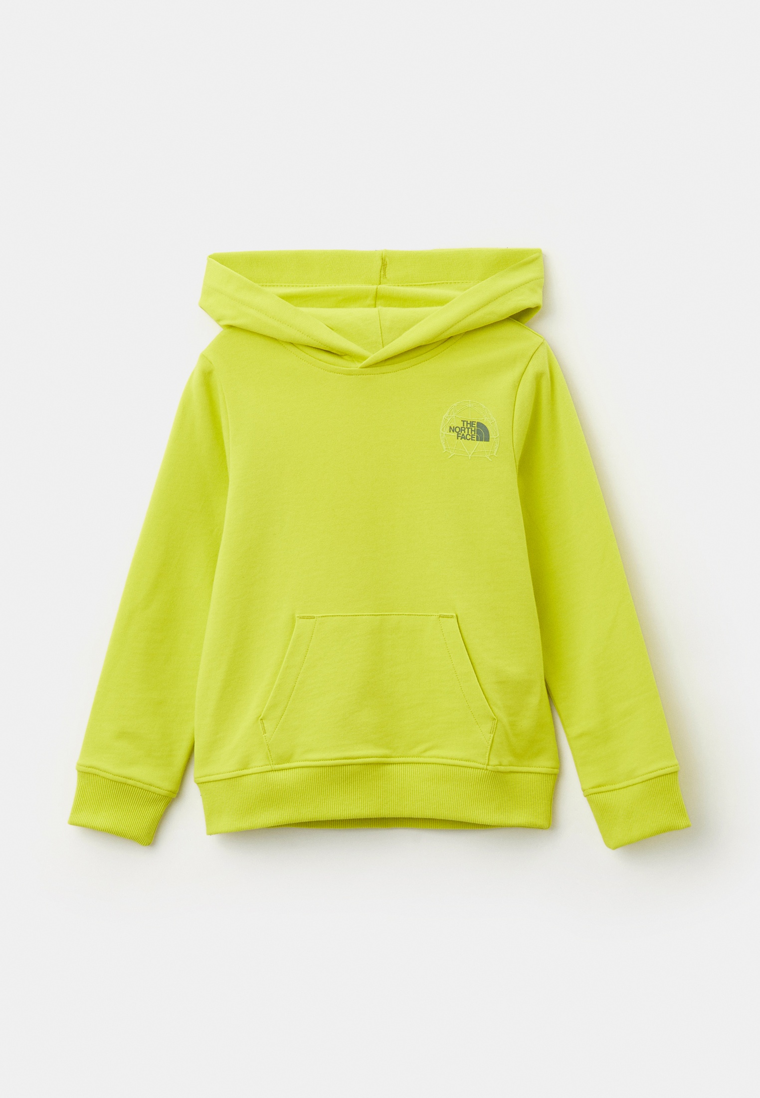 Толстовка The North Face (Зе Норт Фейс) Худи The North Face