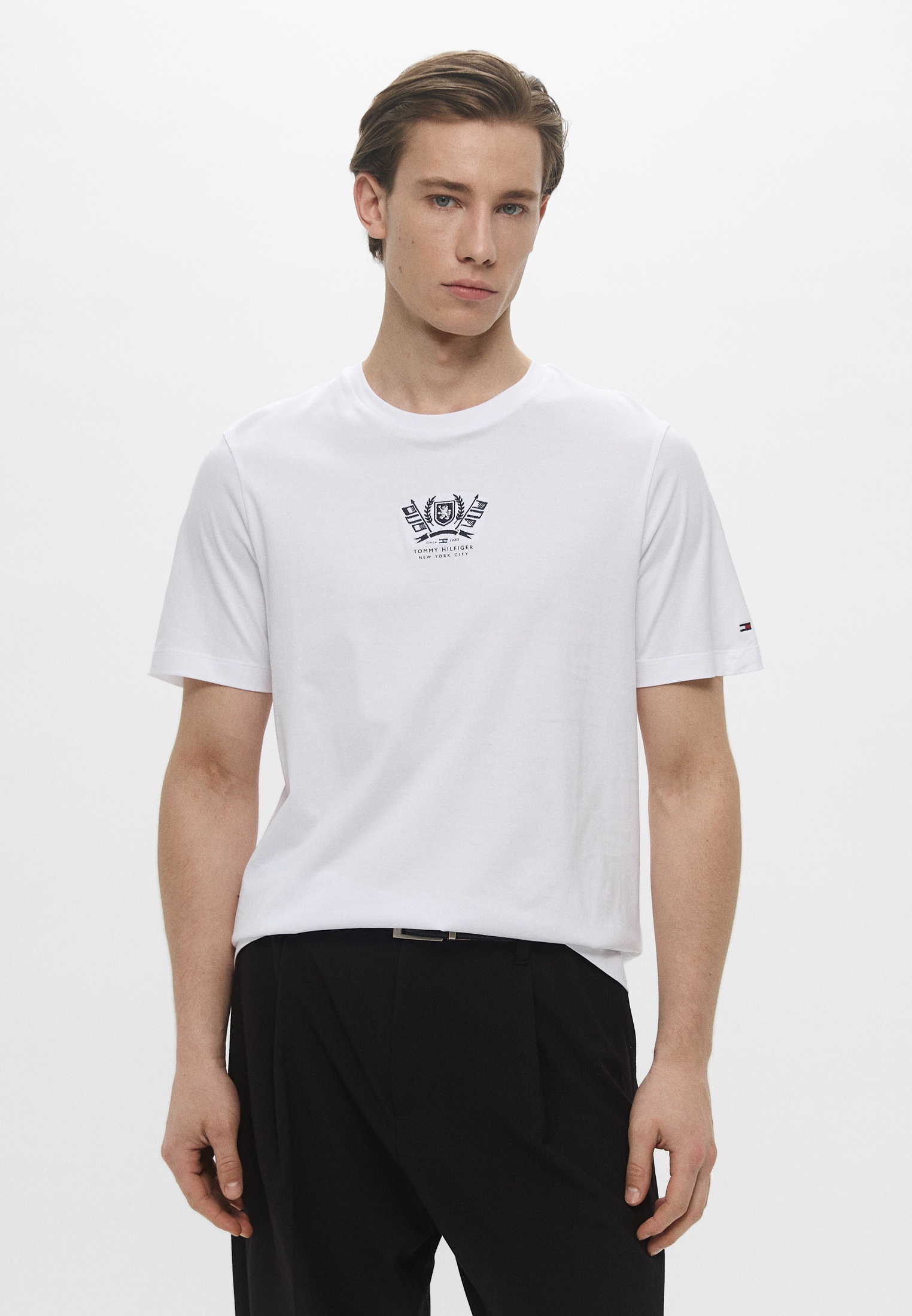 Футболка с коротким рукавом Tommy Hilfiger (Томми Хилфигер) MW0MW38613