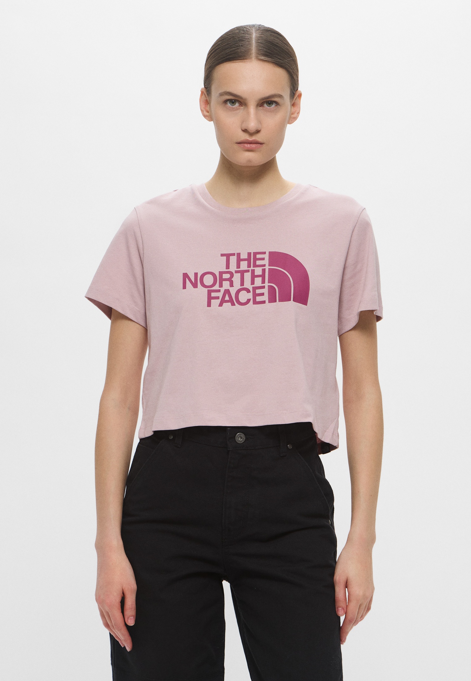 Футболка The North Face (Зе Норт Фейс) NF0A8A6H