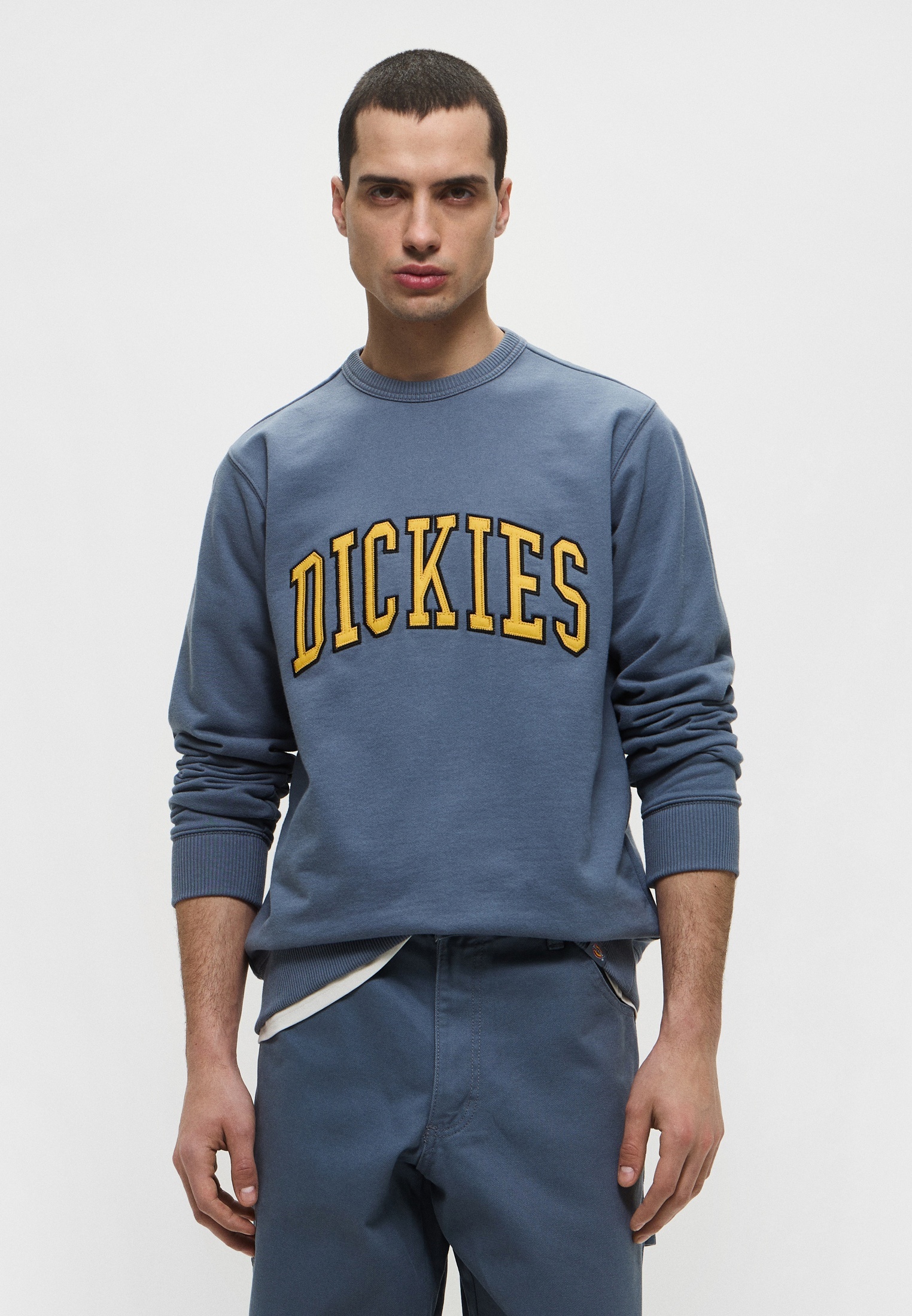 Мужские свитшоты Dickies (Дикис) Свитшот Dickies