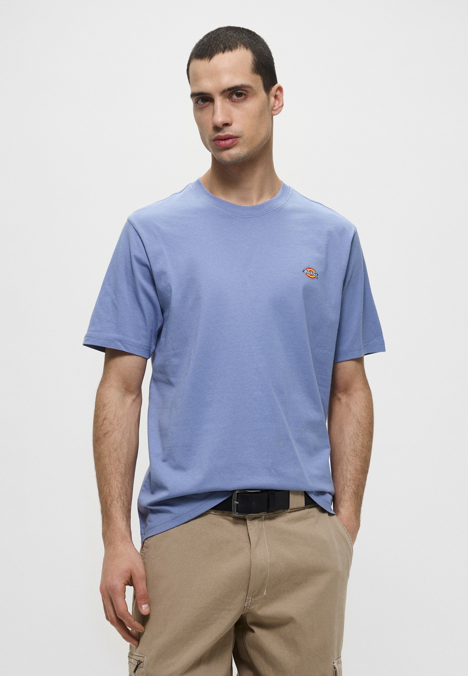 Футболка Dickies (Дикис) DK0A4XDB