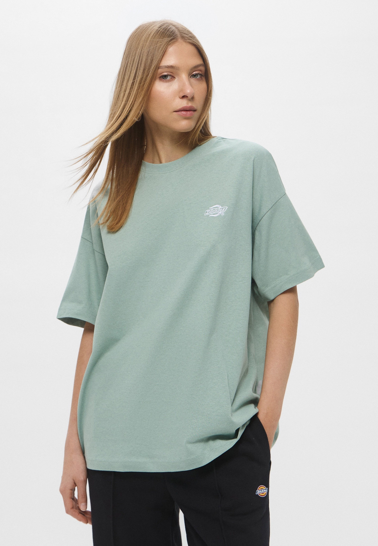 Футболка Dickies (Дикис) DK0A4Y1B