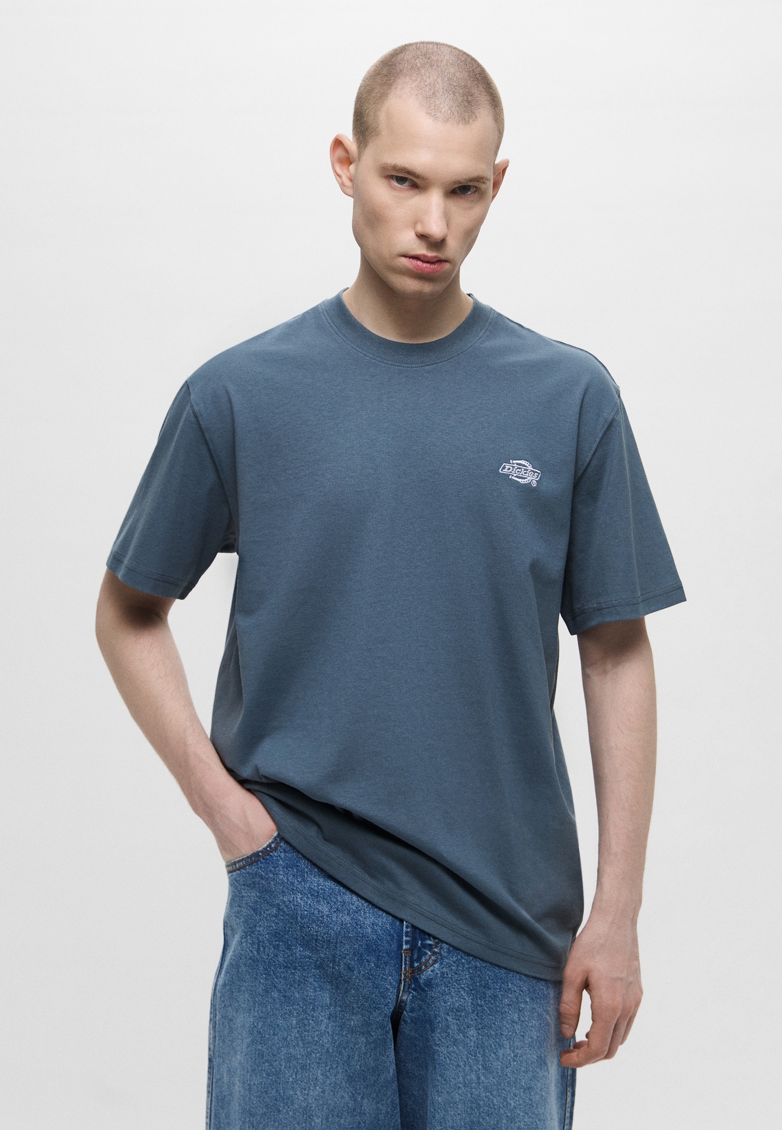 Футболка Dickies (Дикис) DK0A4YAI