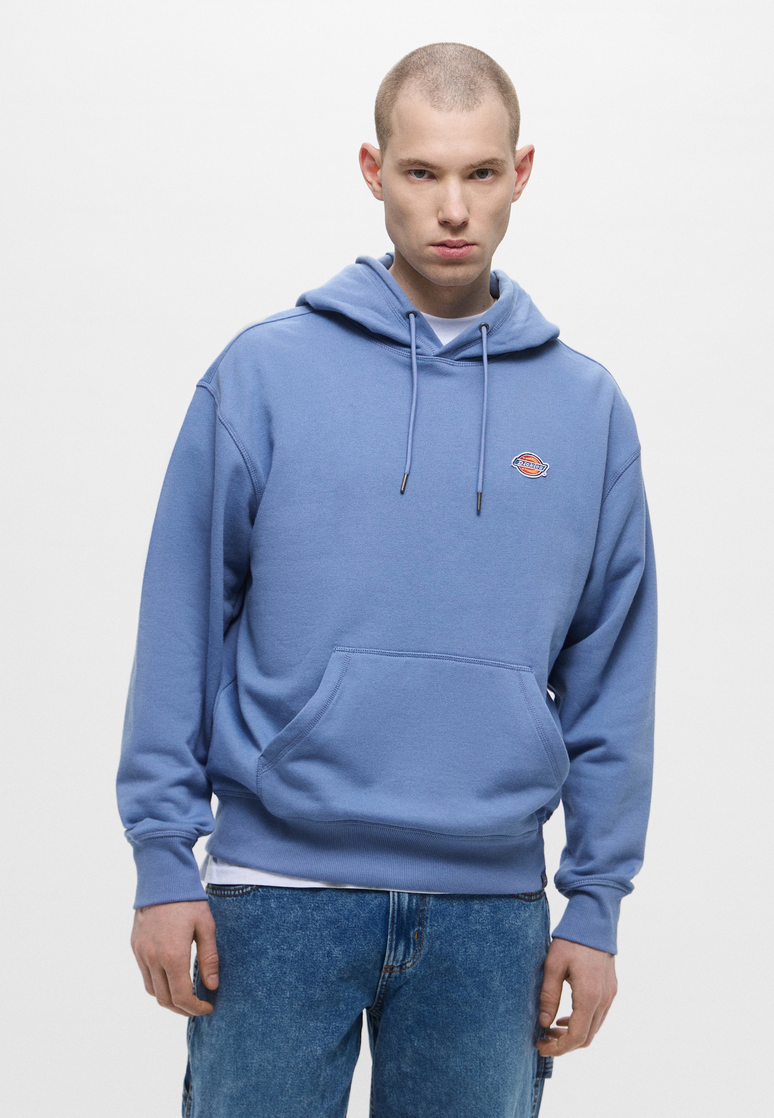 Мужские худи Dickies (Дикис) DK0A4YLY