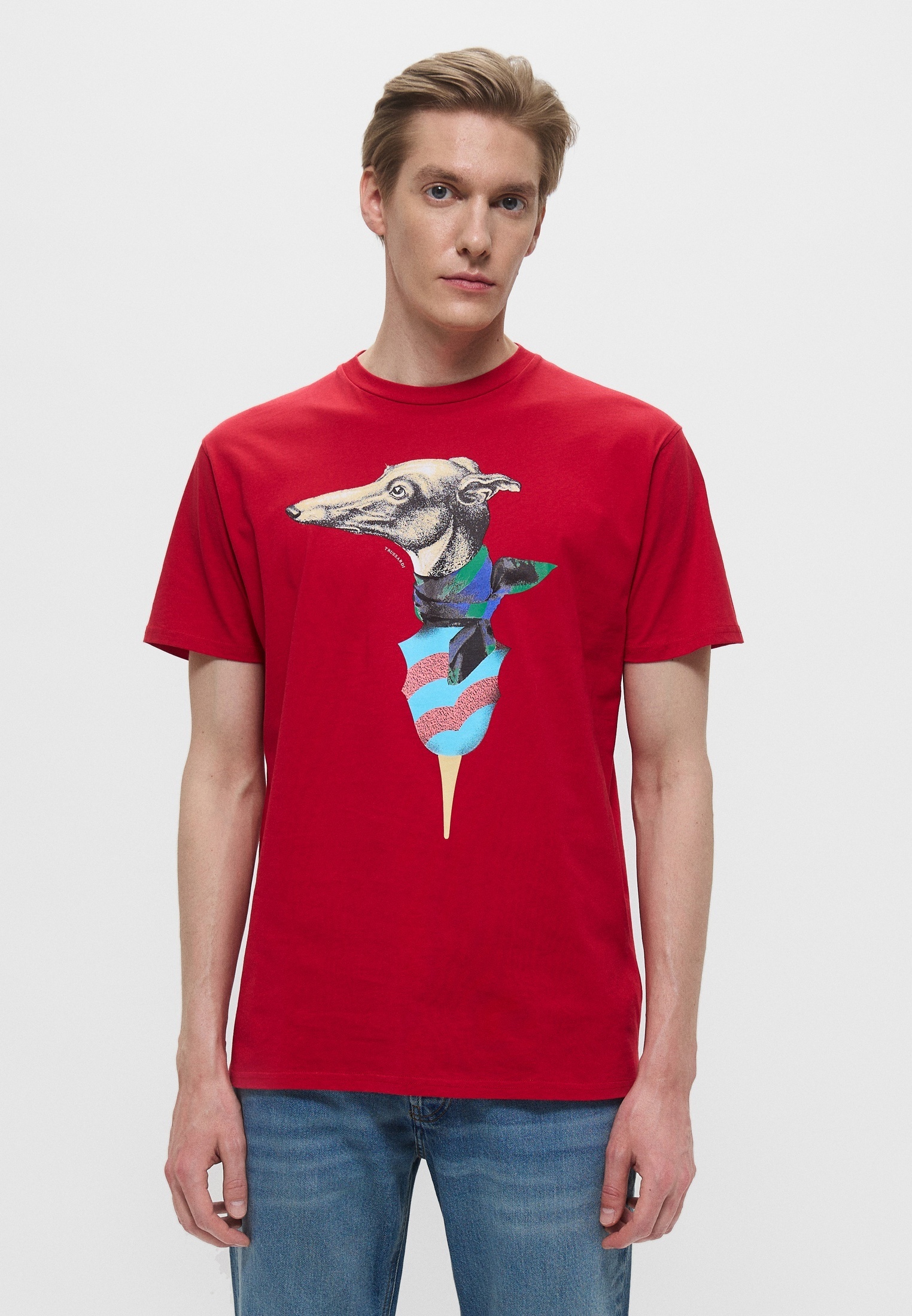 Мужская футболка Trussardi (Труссарди) 32T00191-1T004752
