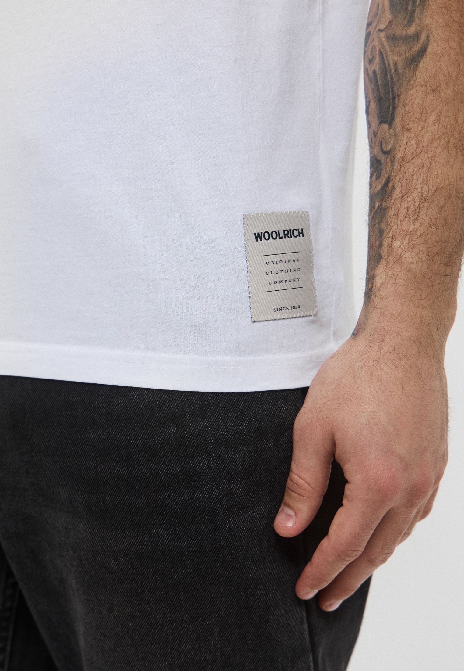 Мужская футболка Woolrich (Вулрич) CFWOTE0159MRUT2926: изображение 5