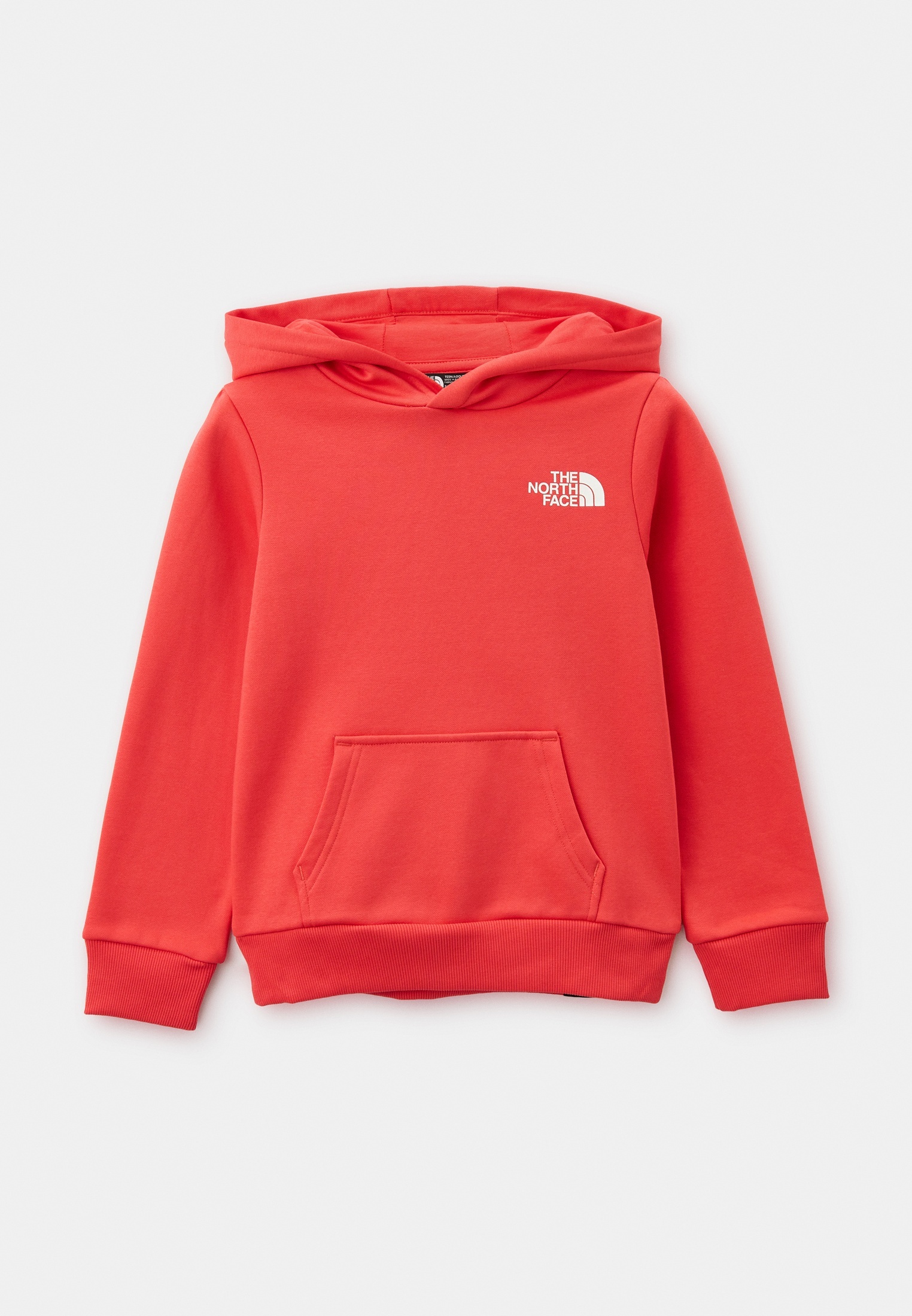 Толстовка The North Face (Зе Норт Фейс) Худи The North Face