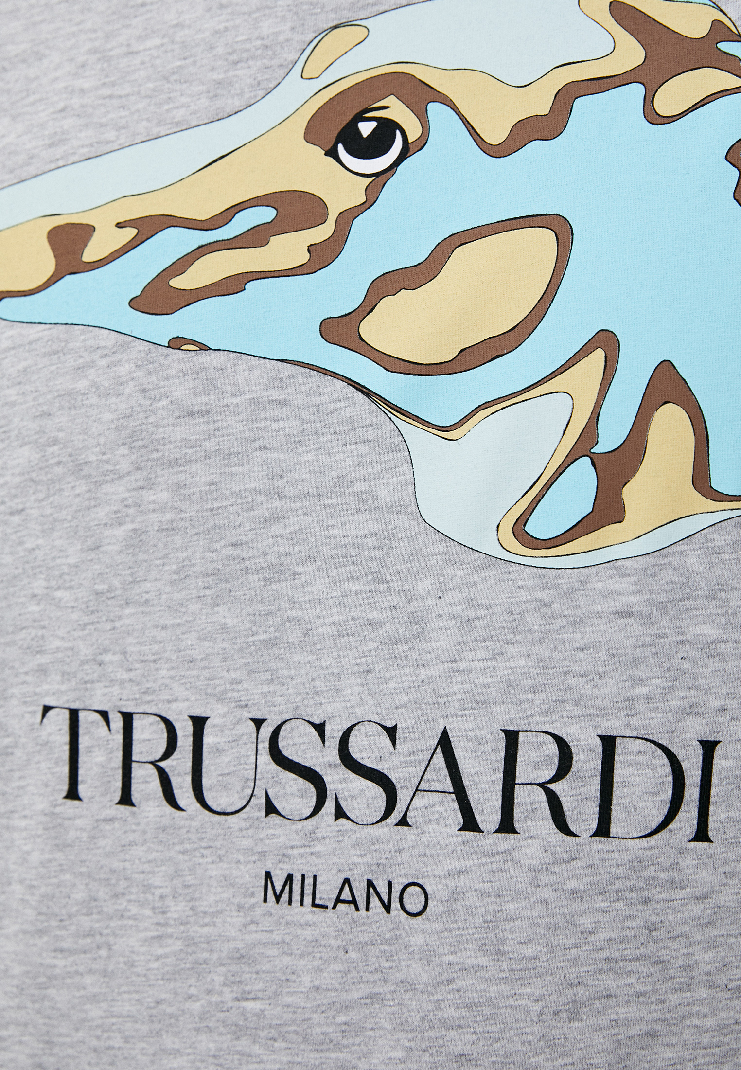 Мужская футболка Trussardi (Труссарди) 32T00189-1T004752: изображение 5