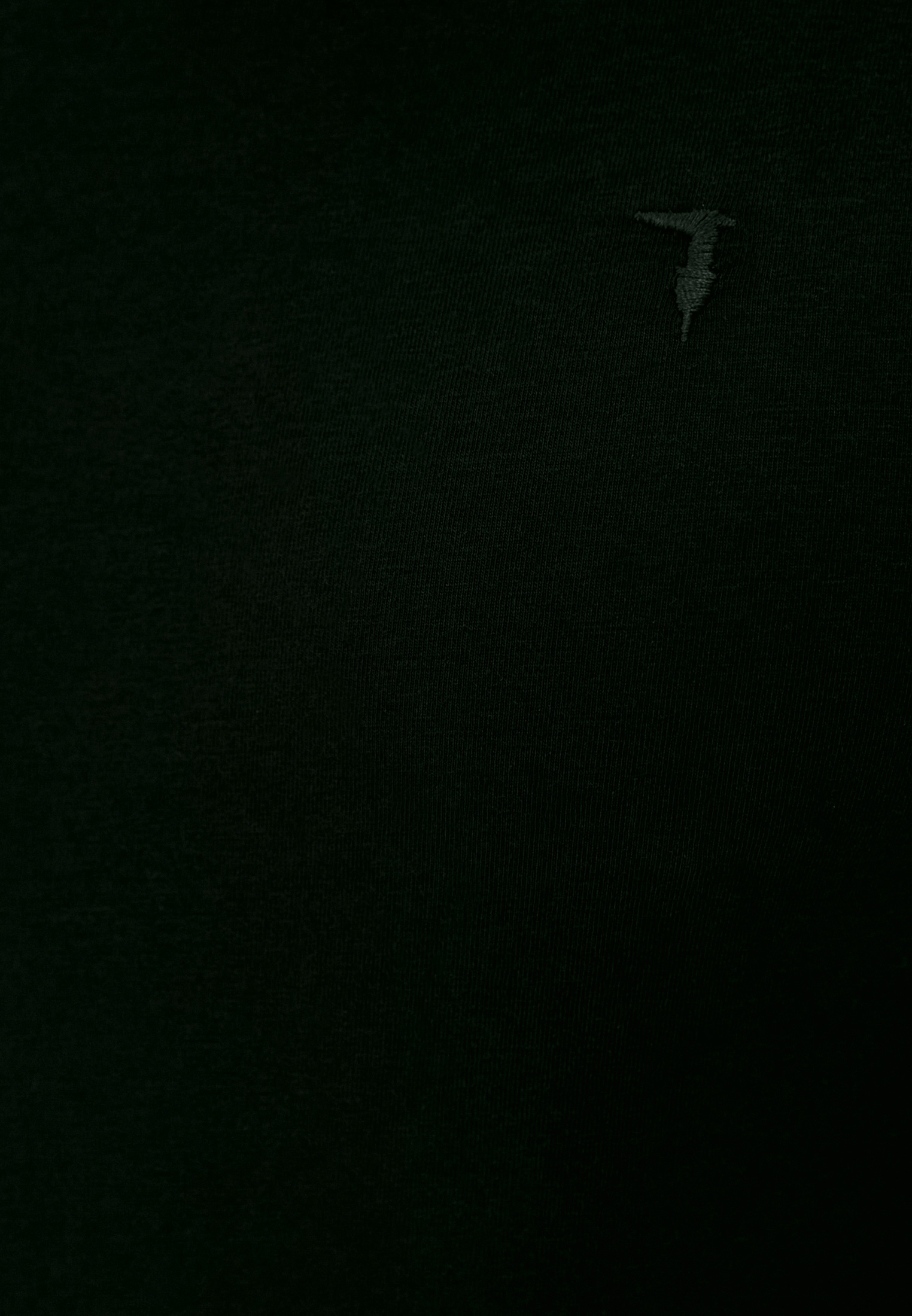 Мужская футболка Trussardi (Труссарди) 52T00499-1T003614: изображение 5
