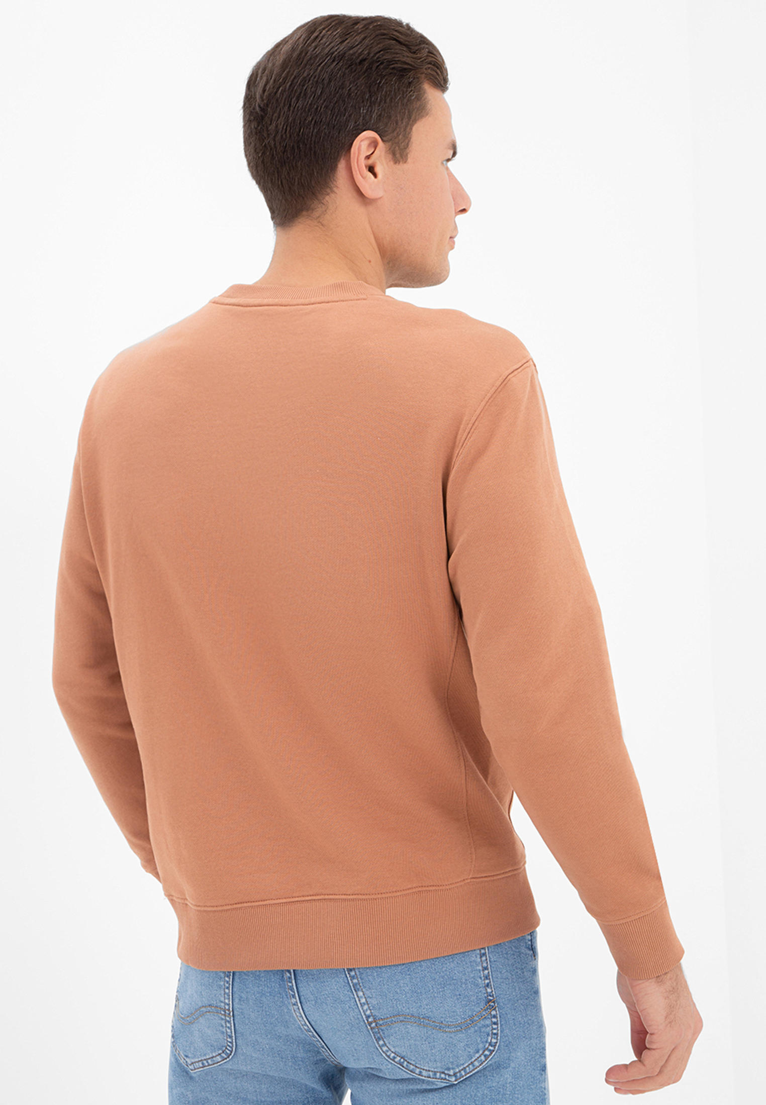 Мужские свитшоты Lee L81IFWA08-cider__4_4_2