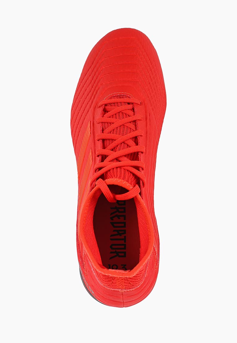 Predator 19.3 red sale