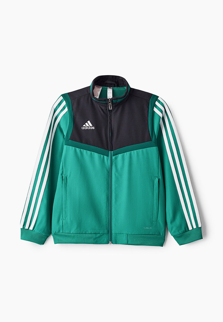 Олимпийка adidas Originals зеленая