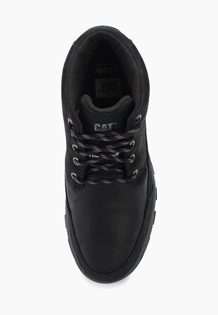 Cat drover wp outlet