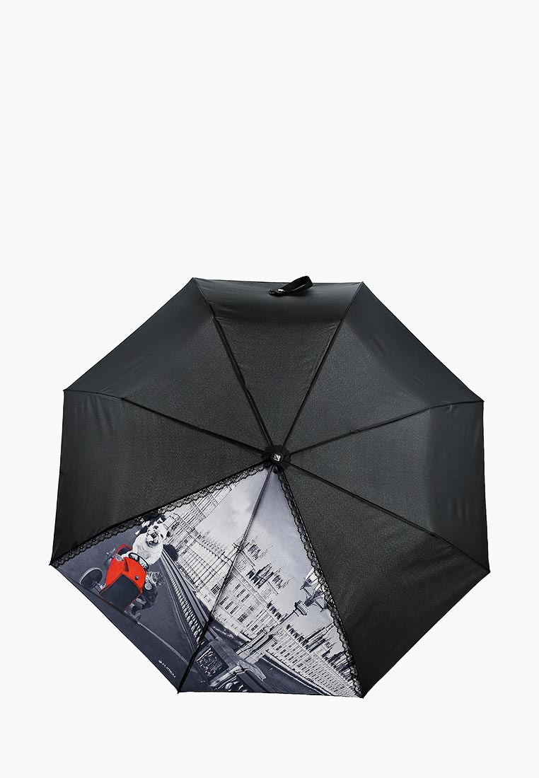 Зонтики 10. Зонт Flioraj 100105 FJ. Зонт Flioraj черный. Трендовые зонты. Модные зонты 2020 женские.