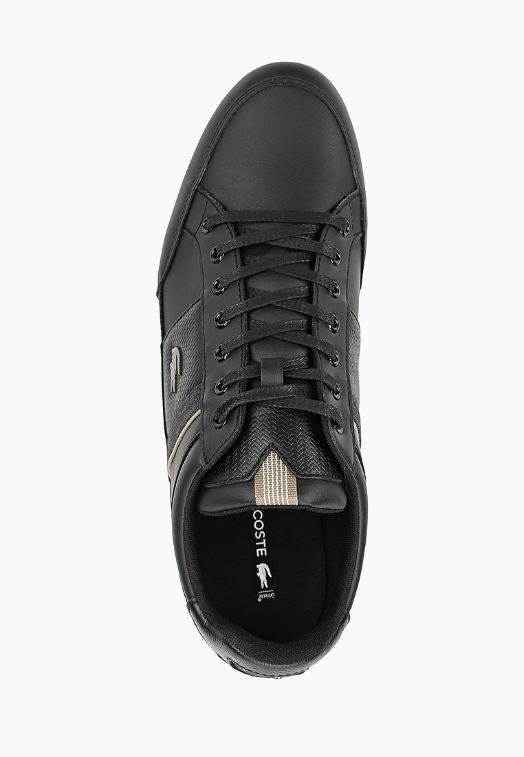 Chaymon 319 1 sale