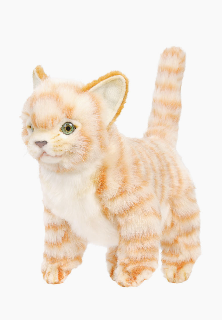 Купить Мягкую Игрушку Рыжий Котенок