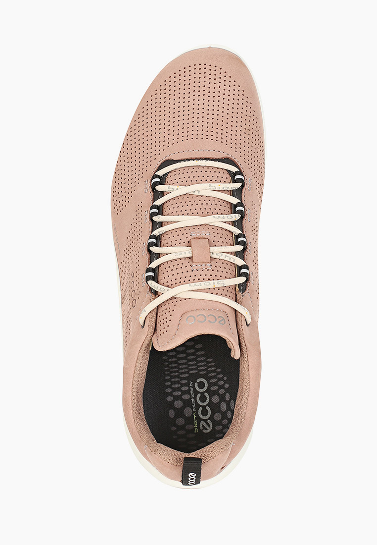 Кроссовки Ecco Купить В Спб