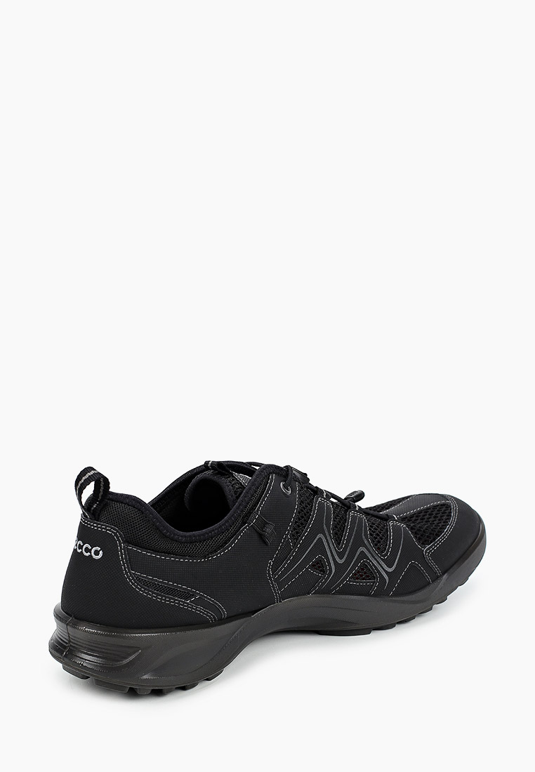 Terracruise ecco sale